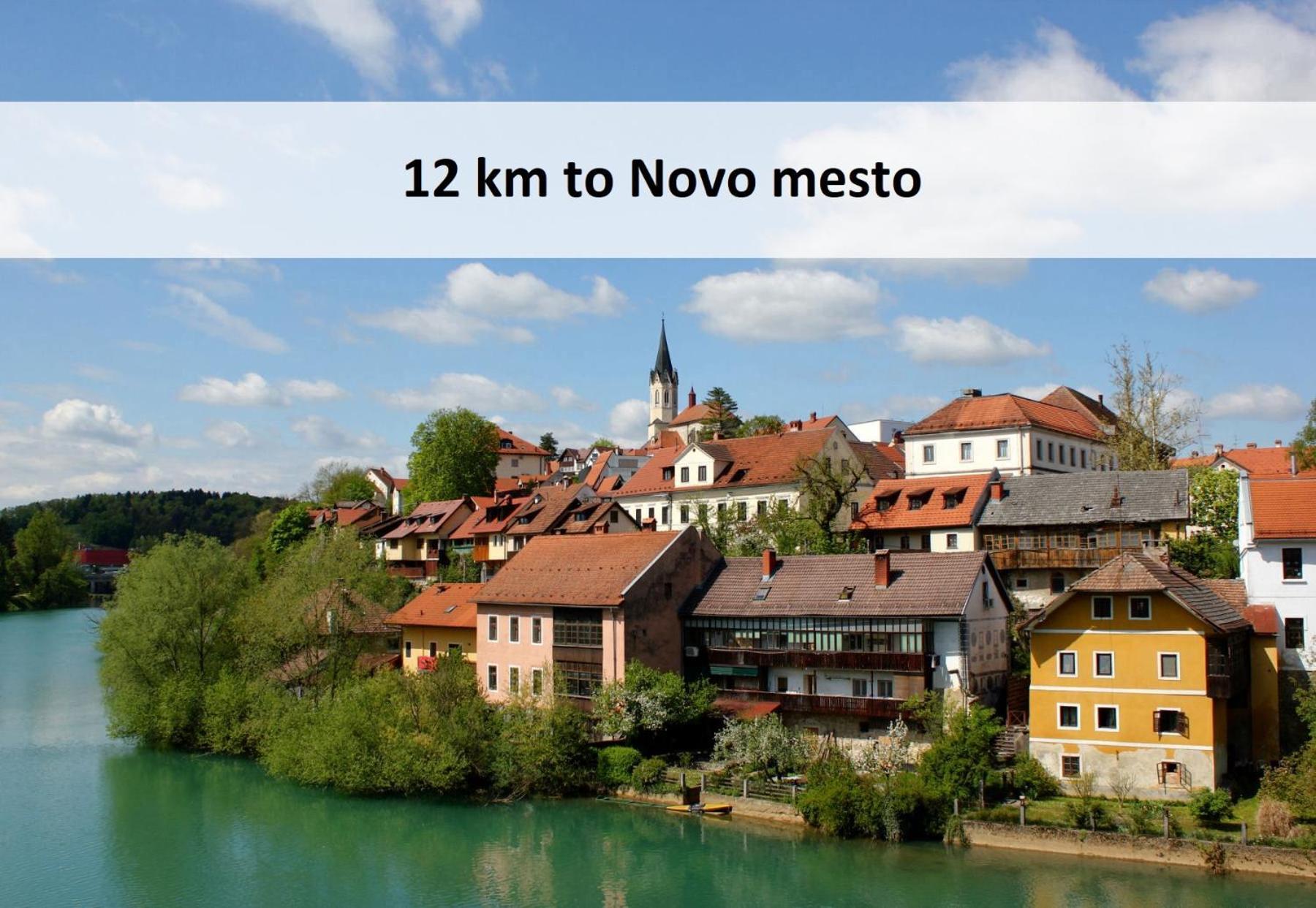 Vineyard Cottage Skatlar 3 Otočec Екстериор снимка