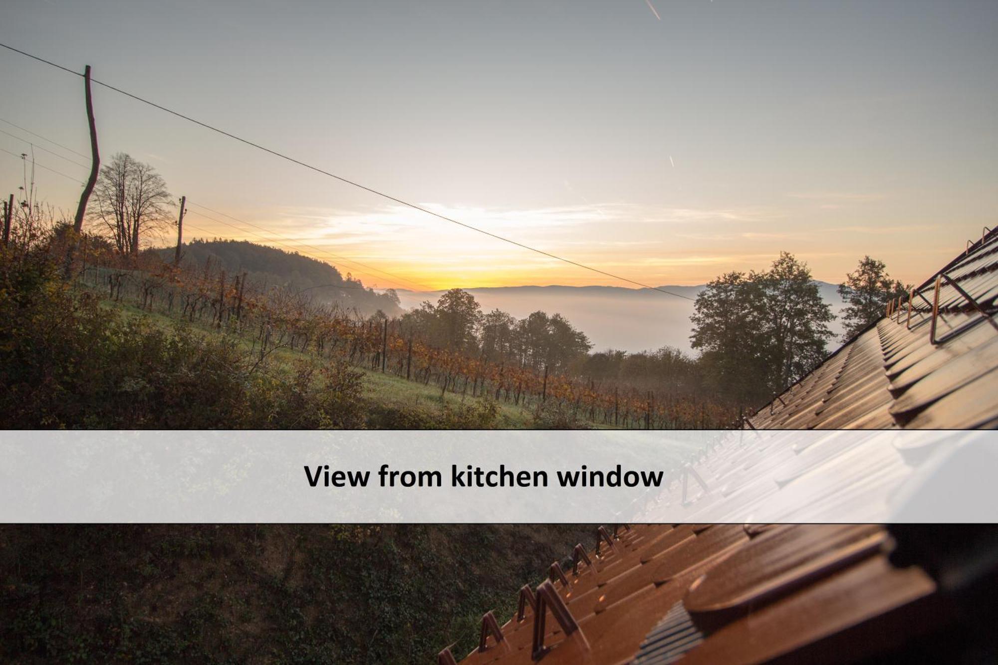Vineyard Cottage Skatlar 3 Otočec Екстериор снимка