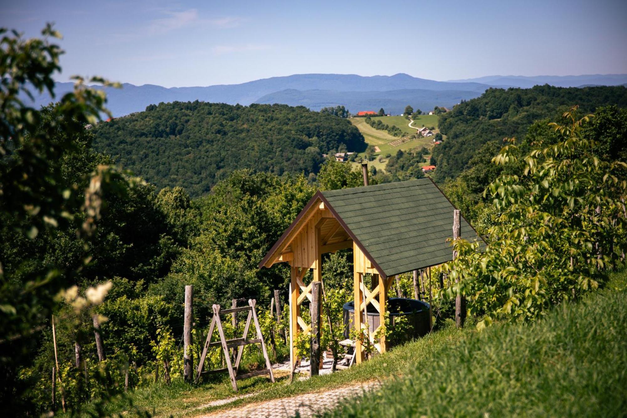 Vineyard Cottage Skatlar 3 Otočec Екстериор снимка