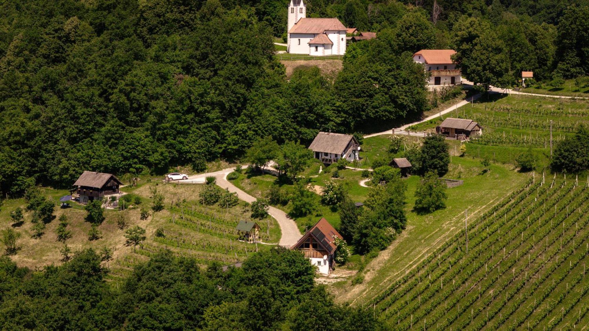 Vineyard Cottage Skatlar 3 Otočec Екстериор снимка